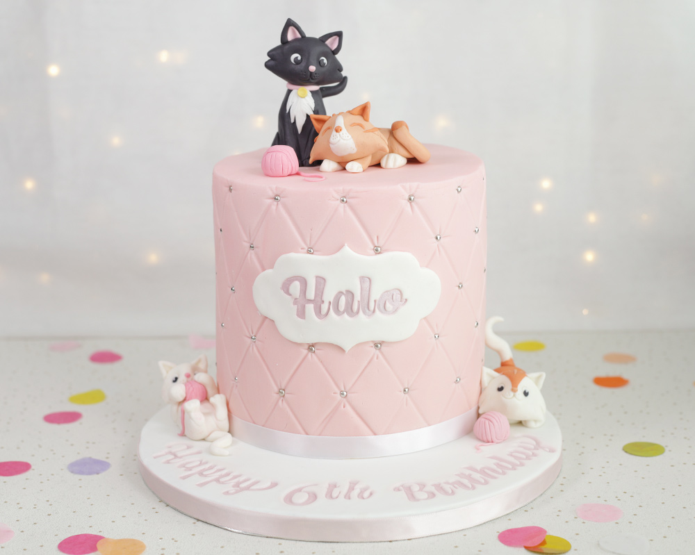 birthday cake kittens